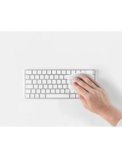 Salviette Inumidite IPA - 50pz.